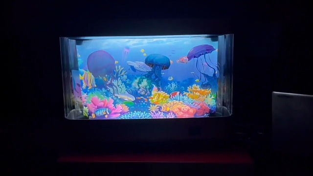 Spaarpot - Spaarblik - Shubunkins in een aquarium - Spaarpotten