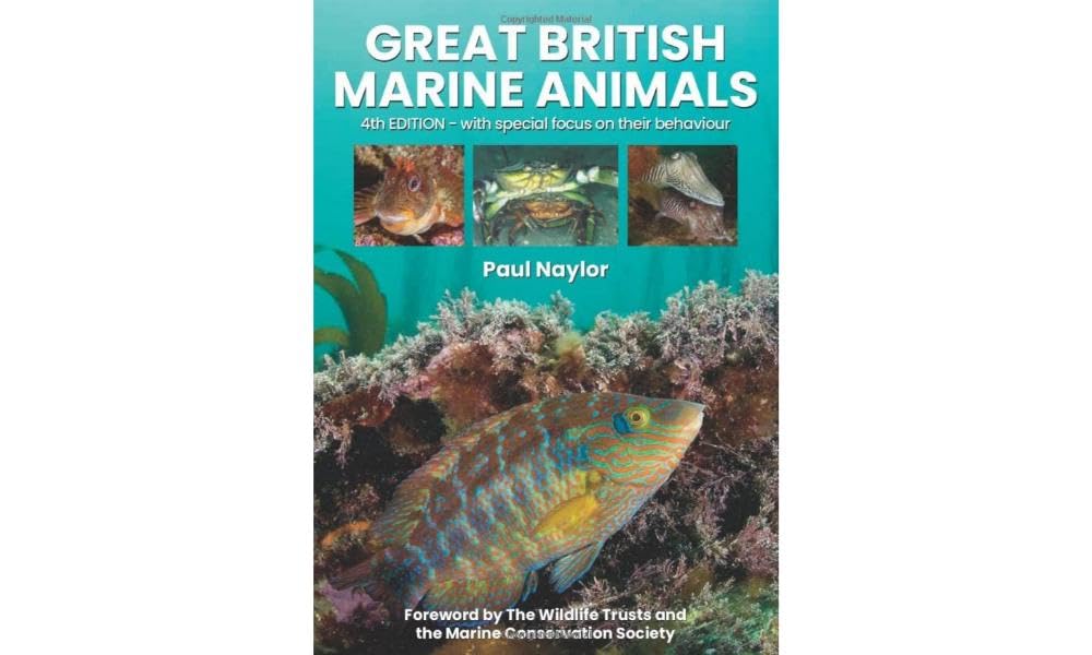 Great British Marine Animals