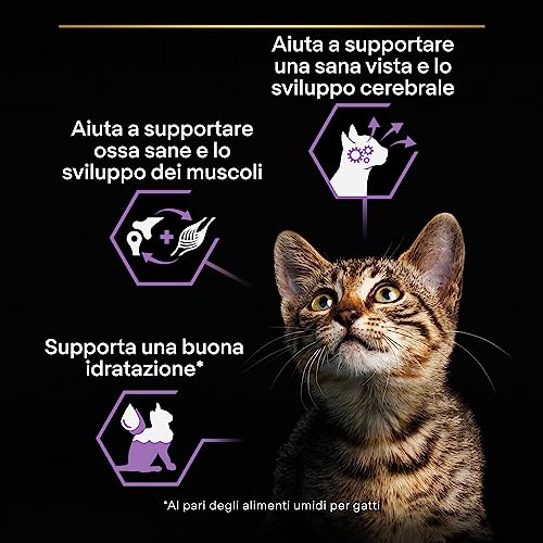 Purina Pro Plan Nutrisavour Kitten Umido Gatto in
