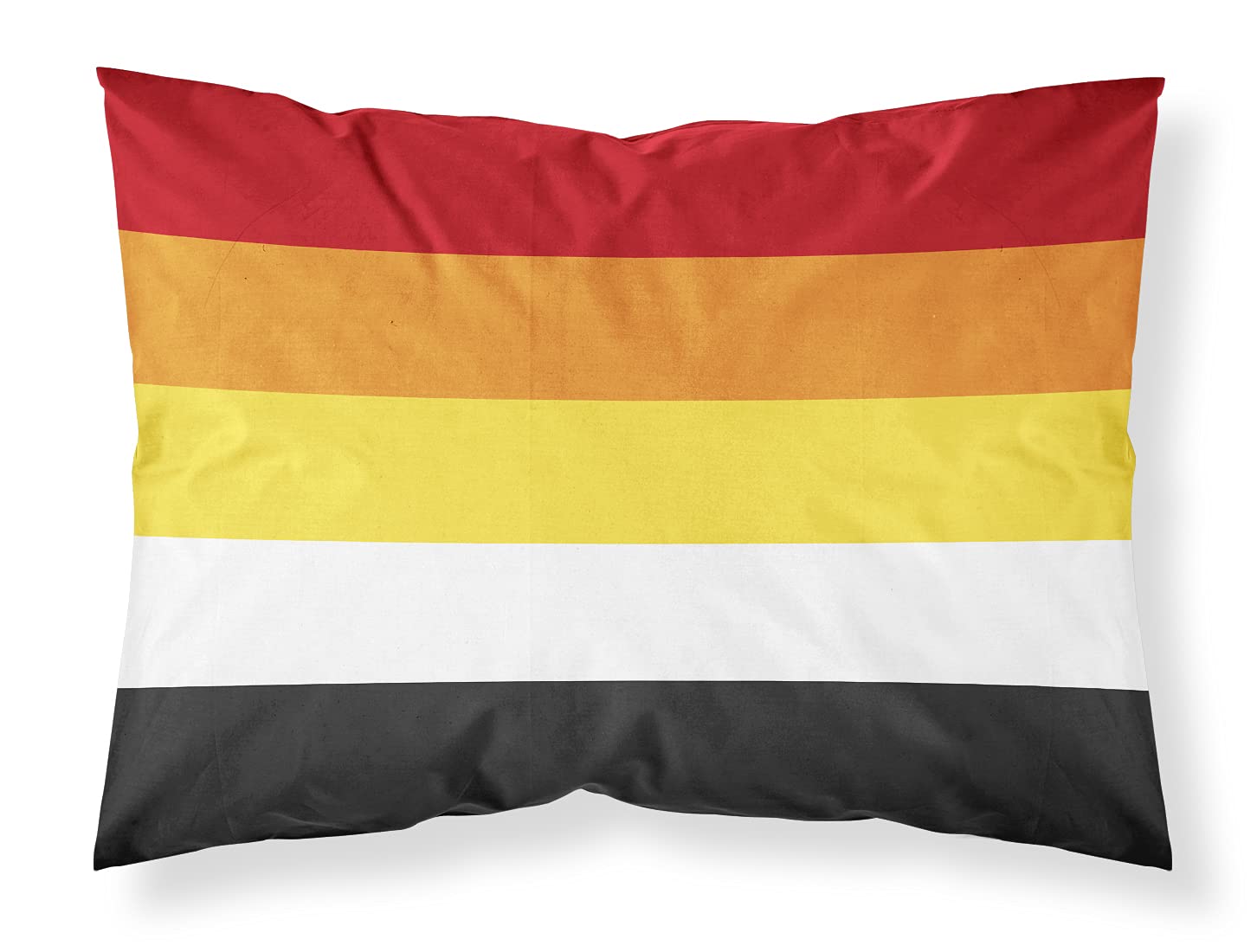 Lithsexual Pride taies d'oreiller standard tissu multicolore linge de lit de décoration