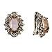 BriLove Antique-Gold-Toned Clip-On Earrings Women's Victorian Style Crystal Floral Cameo Inspired Oval Earrings Champagne