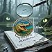 Alligator Alcatraz Coin – Funny Gator Prison Collectible from Devil Gator Island – 2025 Florida Everglades Souvenir Challenge Coin – Swamp Humor Gift for Florida Folklore Fans（3PCS）