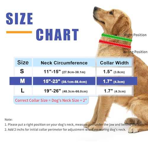 Collier anti-traction réfléchissant pour contrôler les chiens de grande taille en nylon L - 5