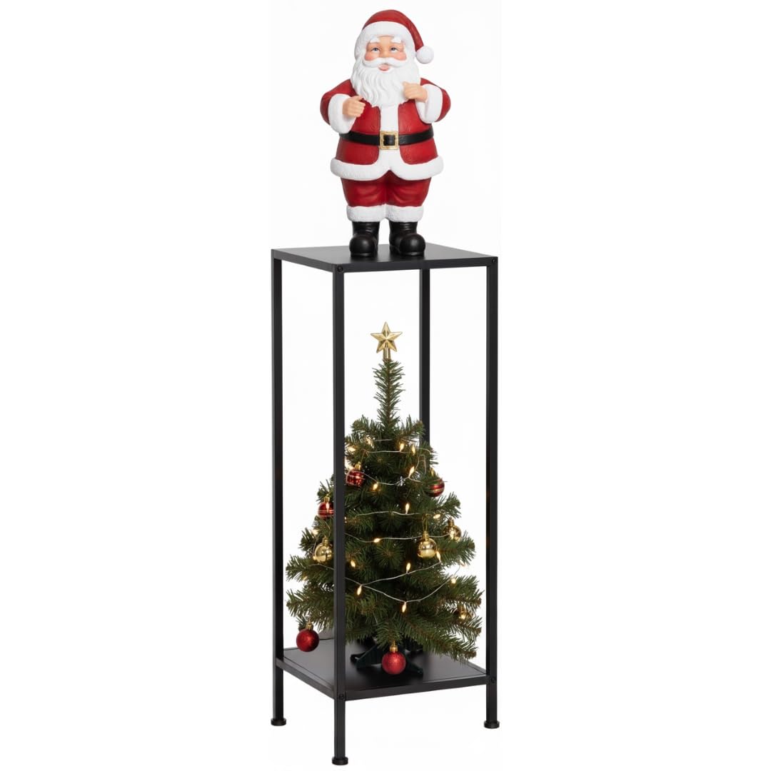 Idzo Tall Metal Plant Stand Black, 2 Tier Plant Stand Indoor and Outdoor, Modern Living Room Decor and Patio Display Shelf for Planters, Flowers, and Home Accessories
