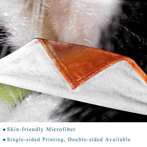Couvertures en microfibre imprimées chat pour un cadeau d'anniversaire - 3