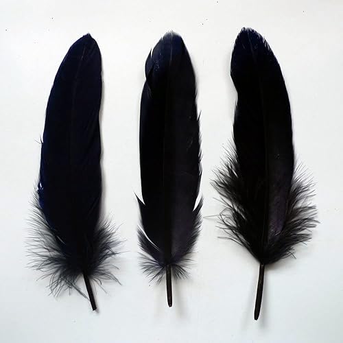 Miniatura 3 de AWAYTR 100 plumas de ganso natural para manualidades, bodas, decoración de fiesta en el hogar (negro)