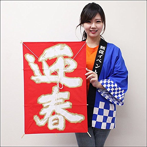  p }t (Ԓn) H66cm /   g  5873