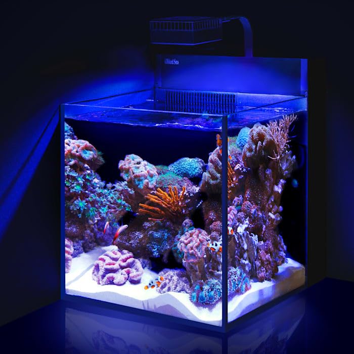 最終値下げ！引き取り限定！Red Sea MAX NANO Red Sea Max Nano Aquarium, 20 Gallon : Amazon.sg: Pet Supplies