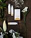 Vitayes Perfector, Illuminating Eye Serum and Anti-Aging Cream for Instant Brightening and Repair of Crow’s Feet, Dark Circles, and Uneven Skin