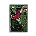 Produktbild CALVENDO Premium Textil-Leinwand 30 x 45 cm Hoch-Format Edelpapagei (Eclectus roratus), Leinwanddruck von Armin Brockner