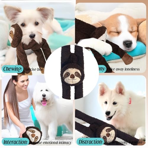 Hundespielzeug Kleine Hunde - Langlebiges Welpenspielzeug Kauspielzeug Hund Spielzeug Plüsch Kuscheltier Dog Toys Intelligenz (Faultier B)