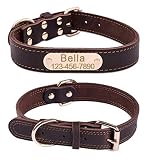 Mihqy Personalisiertes Hundehalsband aus Leder, mit graviertem Namensschild, mit Hundename und Telefonnummer,Persönlichen ID Halsband für Hunde,Für kleine und mittelgroße und große Hunde geeignet