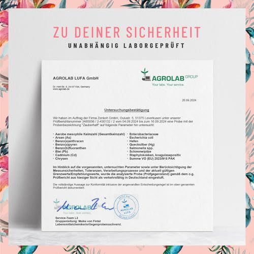 Haar Vitamine - 451mg Silizium hochdosiert & Biotin Zink Selen für Haare - Kieselsäure aus Bambus, Kupfer, Iod, Brennnessel und B-Vitamine - 120 Kapseln - Vegan aus Deutschland