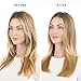 Drybar The Smooth Shot Paddle Brush Blow-Dryer | Smooths Hair for Easy Blowout, Reduces Frizz, Added Body, Quick & Easy One Step Styling for Long or Thicker Hair