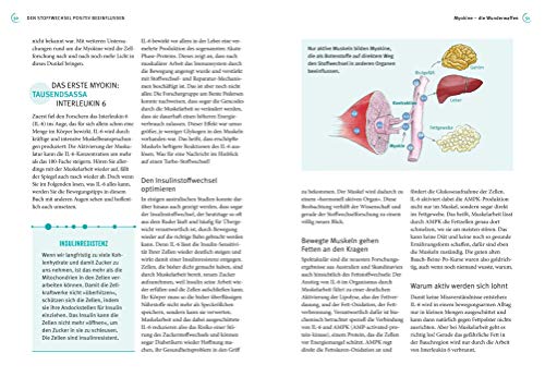 Das Turbo-Stoffwechsel-Prinzip: So stellen Sie den...