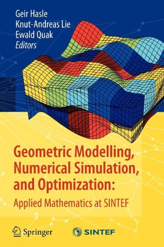 Amazon Geometric Modelling Numerical Simulation And Optimization