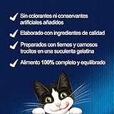 Felix Katzennassfutter Gelee Gemischte Vielfalt 44 x 100 g Multipack Premium Portionsbeutel