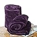 BCASE Pack 2 Manta de Microfibra de Felpa, Suave y Cómoda, 100% Poliéster, 130x160 cm, para Sofá o Cama, Ideal para Vacaciones y Viajes en Avión, Camping, Coche, etc, En Color Morado