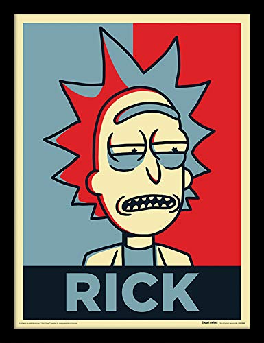 Rick and Morty Impression encadrée 30x40cm Cartoon Network