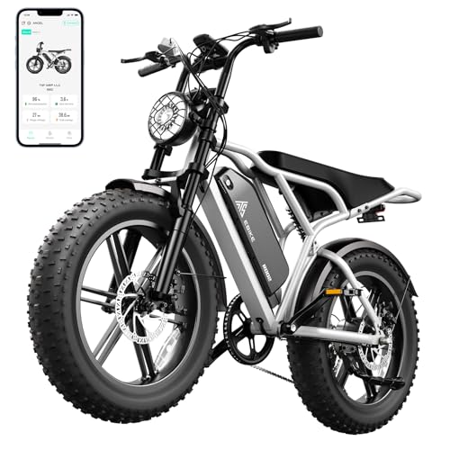 TST Electric Bike for Adults 1500W Peak 20" Fat Tire