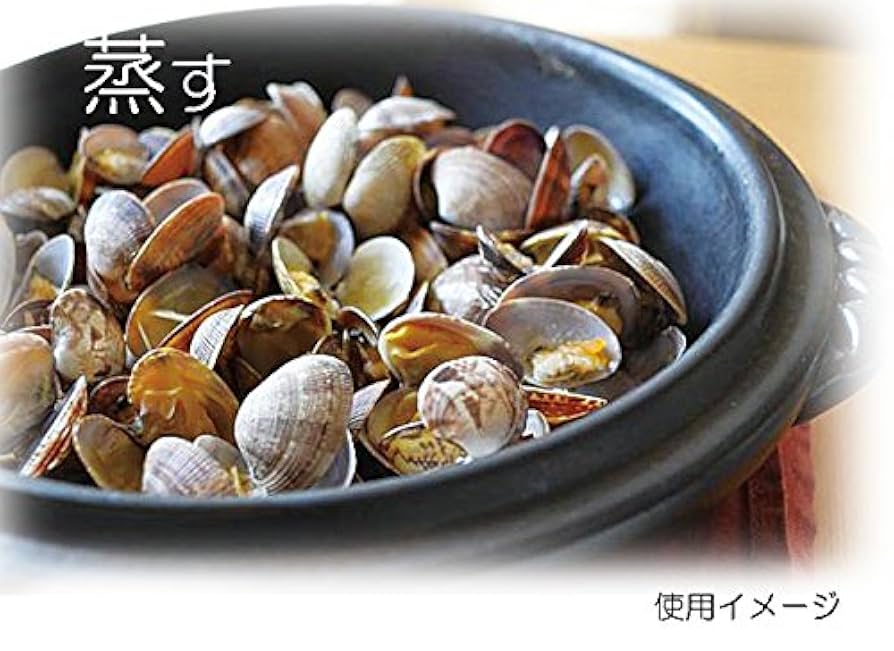 Amazon.co.jp: 三陶 萬古焼 耐熱 変形 陶板 小 18.5cm 志野釉