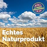 Effektive Mikroorganismen Test