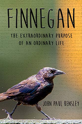Finnegan: The Extraordinary Purpose of an Ordinary Life (English Edition)