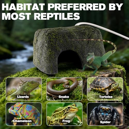 Image of Reptile Heated Rock Bearded Dragon Basking Platform with Hide Cave,12V Thermostatic Heat Rocks Reptiles Habitat Decor Accessories for Lizard Gecko Tortoise Snake