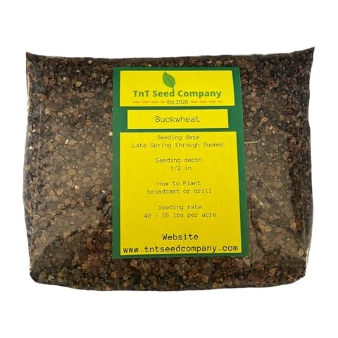 TnT Seed Company Buckwheat, Food Plot Seed, Cover Crop, 1/10 Acre, Packed with Protein, Great For Seed Mixes Cover