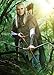 Produktbild Displate - Poster aus Metall - Einfache Montage ohne Bohren - Middle-Earth - Lord of the Rings Characters - Legolas - Größe M - 32x45cm Matt
