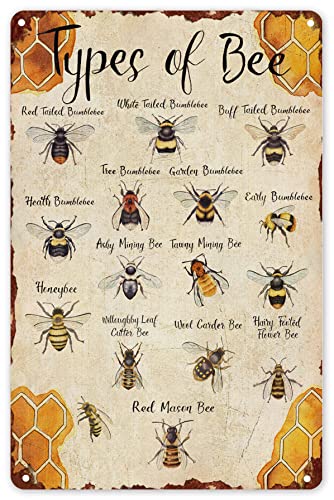 Vintage Bee Tin Sign Funny Types Of Bee Metal Tin Signs Wall Art Perfect For Home Garden Farm Cafe Wall Decoration 8X12 Inch Multicolor #TOP12
