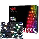 Xnbada 65.6FT WS2812B RGB Addressable Black Wire Fairy Lights,Waterproof Dream Color Christmas String Lights for Party,Indoor Outdoor Decor,Christmas Tree,DC5V