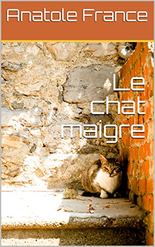 Le Chat Maigre French Edition Ebook France Anatole Amazon Es Tienda Kindle