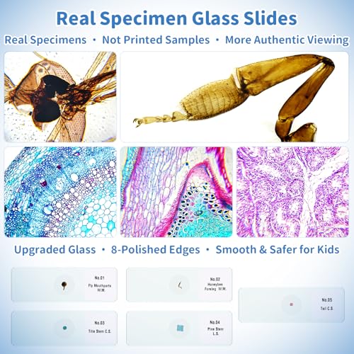Microscope Enfant Numérique STEM Cadeau: Kit Scientifique Complet 4-12 Ans – vue 7