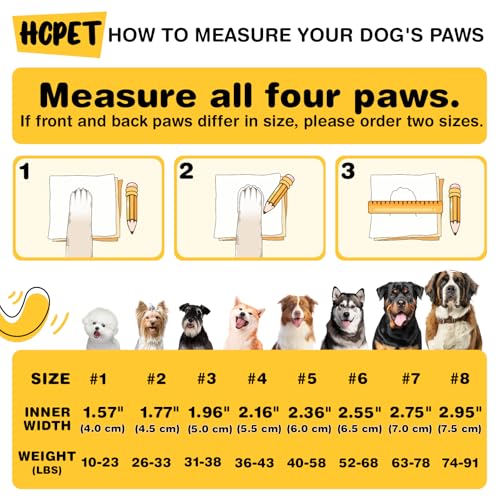 Hcpet-Dog-Shoes-Dog-Boots-for-Small-Dogs-Breathable-Medium-Dog-Booties-Paw-Protector-for-Summer-Hot-Pavement-Winter-Snowy-Day-Outdoor-Walking-Indoor-Hardfloors-Anti-Slip-Sole-Blue-Size-2 Hcpet Dog Shoes Dog Boots for Small Dogs Breathable Medium Dog Booties Paw Protector for Summer Hot Pavement Winter Snowy Day Outdoor Walking Indoor Hardfloors Anti Slip Sole Blue Size 2