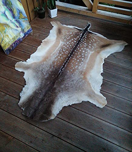 Robert Tartufferie Fallow Deer Skin Fur Hide pelt Rug Taxidermy Hunting Trophy