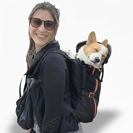 backpack for hiking with 22 pound dog FOXFOCUS Waterproof Carrier Small Dogs Under lb, Grey Hooks for catching and thick 1 padding MyBinding MyBinding Binding Supplies Size:1pc - 7'6