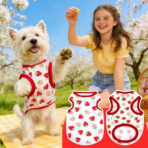 PETCARE Cartoon Dog Shirts for Small Dogs Cute Dog Clothes Red Strawberry Tshirt Soft Cotton Puppy Pajamas Breathable Sleeveless Pet Tank Top Spring Summer Dogs Clothes for Chihuahua Yorkie Shih Tzu - 5