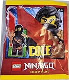 LEGO Ninjago Dragons Rising Season 3: Cole Minfigure with Dragon Shoulder Armor- Ages 6+