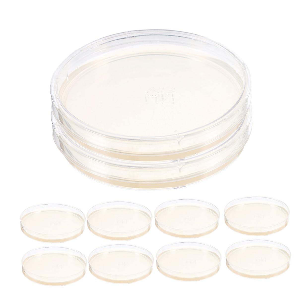 SAFIGLE 10pcs Nutrient Agar Petri Dishes 6cm with Lid for Microbiology Experiments Laboratory Cell Culture Plates Science Experiment Supplies