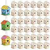 DoubleFill 12 Pcs 4.33' Wooden Bird Houses Bulk for Kids DIY...
