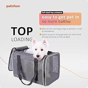 petisfam Easy Load Soft Pet Carrier for Large and Medium Cats. Sturdy, Well-Ventilated, Collapsible for Easy Storage, Easy Vet Visits petisfam Easy Load Soft Pet Carrier for Large and Medium Cats. Sturdy, Well-Ventilated, Collapsible for Easy Storage, Easy Vet Visits