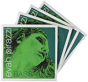 Amazon.co.jp: コントラバス弦 - 弦楽器アクセサリ: 楽器・音響機器