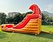21ft(L) Commercial Water Slide for Adults Kids with Blower, Heavy Duty PVC Large Water Slides Bounce House for Outdoor Summer Fun, Inflatable Backyard Water Park Great for Party, Wet Dry Use 21×9×12ft