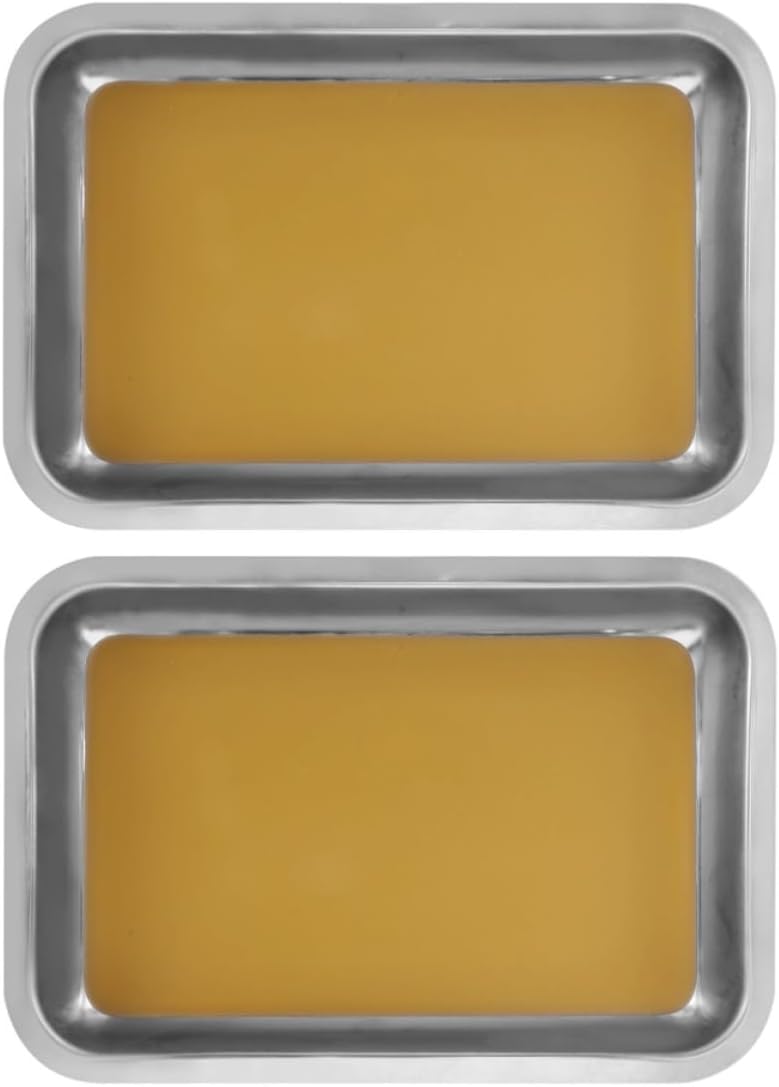 2pcs A4 Stainless Steel Wax-Lined Dissection Tray for Biology Labs | Non-slip Surface, Classroom-safe Design, Silver Finish, 31x21 Cm