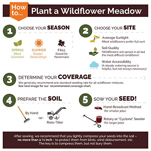 Deer Resistant Wildflower Seed Mix - 1/4 Pound - Mixed Wildflower Seeds, Attracts Bees, Attracts Butterflies, Attracts Hummingbirds, Attracts Pollinators, Easy To Grow & Maintain, Cut Flower Garden #TOP3