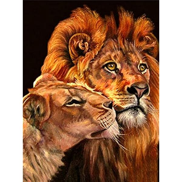 Kit per Diamante Pittura a Mosaico Fai da Te 5D Completo Leone-Animale Diamond Painting Numeri Kit Adulti/Bambini Cristallo Strass Ricamo Punto Croce Art Decor murale 60x80cm