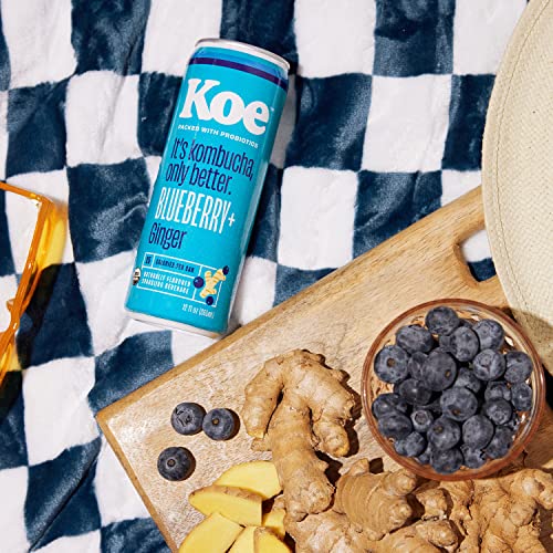 Koe Kombucha Cans, Blueberry Ginger | Organic Sparkling Fruit Drinks With Live Probiotics And Vitamin C | 12 Oz Pack Of 12 #TOP3