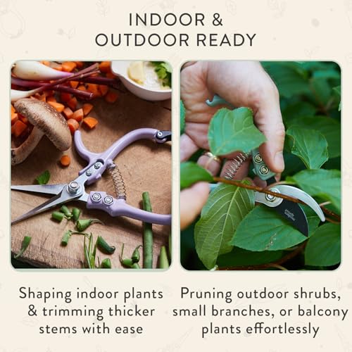 Modern Sprout Hand Pruners & Shears Set with Blister Pack - Lightweight Gardening Tools with Easy Lock - Sharp Carbon Steel Blades -Rust Resistant Scissors for Herbs, Flowers - Sage — view 5