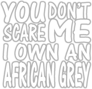 You Dont Scare me African Grey *I126* 6" Sticker Decal Bird Parrot Macaw cage